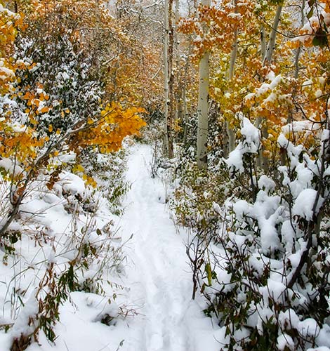 hiking trail